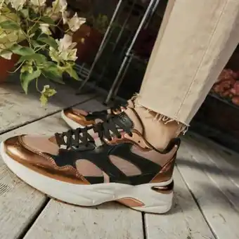 Aldo Aldo zapatilla urbana mujer café oferta