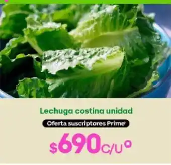 Lechuga Costina Unidad
