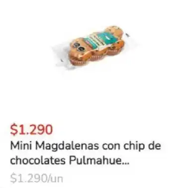 Mini Magdalenas con Chip de Chocolates Pulmahue