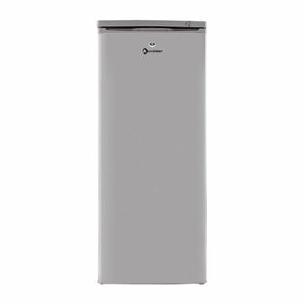 Lider Freezer Vertical 165 Litros / M 165 V oferta