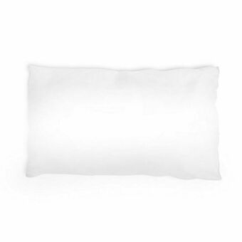 Lider Almohada Moisés oferta