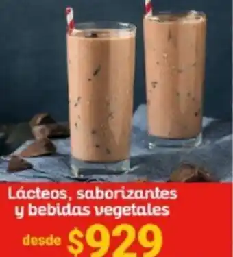 Santa Isabel Láctoes, Saborizante y Bebidas Vegetales oferta