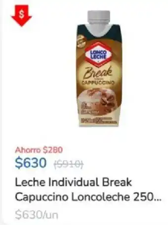 Leche Individual Break Capuccino Lonco Leche 250g