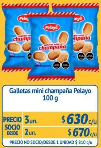 Alvi Galletas Mini Champaña Pelayo 2un x 100g oferta