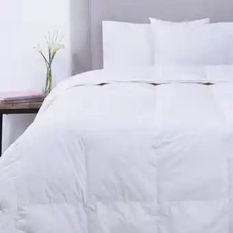 Fabrics Plumón pluma súper king blanco oferta