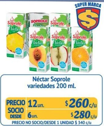 Alvi Néctar Soprole Variedades 6un x 200ml oferta