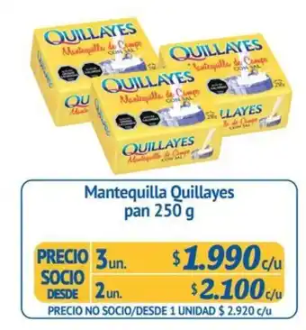 Alvi Mantequilla Quillayes Pan 3 un x 250g oferta