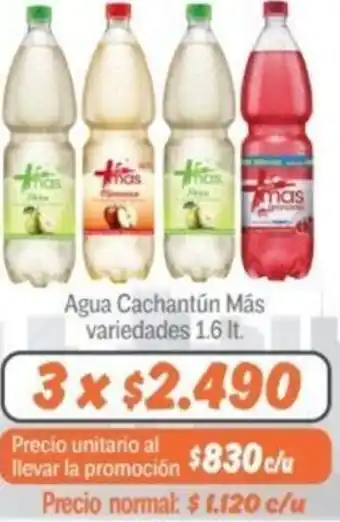 Mayorista 10 Agua Cachantún Más variedades 1.6 It. oferta
