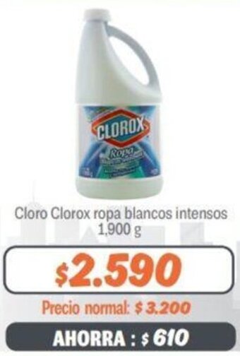 Mayorista 10 Cloro Clorox ropa blancos intensos 1,900 g oferta
