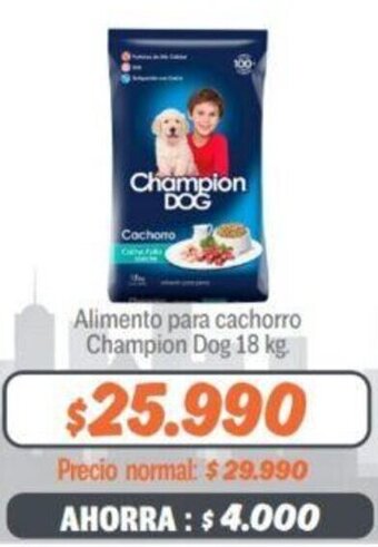 Mayorista 10 Alimento para cachorro Champion Dog 18 kg. oferta
