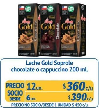 Alvi Leche Gold Soprole chocolate o cappuccino 200 ml. x 12un oferta