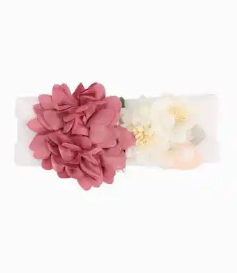 Limonada Cintillo recién nacida con flores crudo oferta