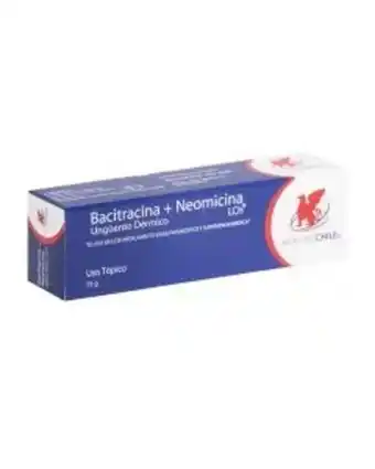 Farmacias Ahumada Bacitracina + neomicina x 15 g ungüento dérmico oferta