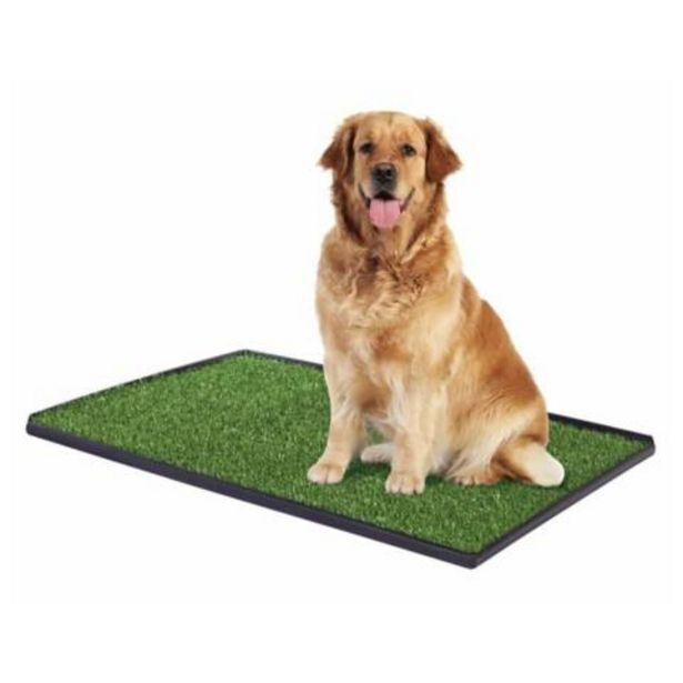 Linio Baño ecologico xxl perros pet potty lavable oferta