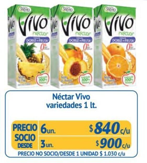 Alvi Néctar Vivo variedades 6 un x 1 lt. oferta
