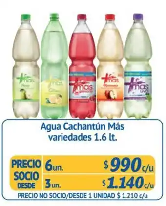 Alvi Agua Cachantún Más variedades 6 un x 1.6 lt. oferta