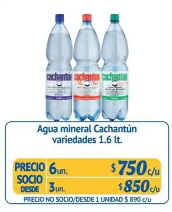 Alvi Agua mineral Cachantún variedades 6 un x 1.6 lt. oferta