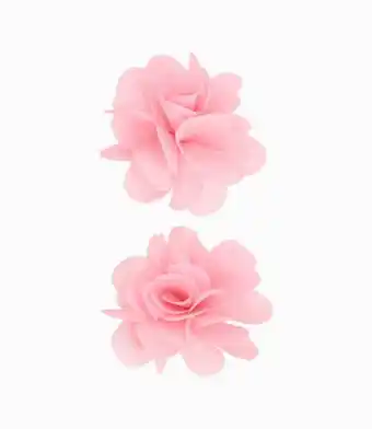 Limonada Pinche recién nacida con flores palo rosa oferta