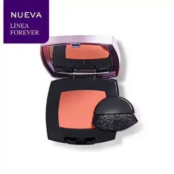 L'Bel Forever blush 5.3g oferta