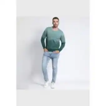 Linio Sweater cuello redondo potros oferta