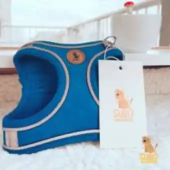 Linio Arnés mascotas pequeñas talla xxxs azul correa gratis oferta
