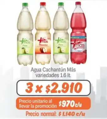 Mayorista 10 Agua Cachantún Más variedades 1.6 lt. x 3 oferta