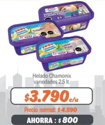 Mayorista 10 Helado Chamonix variedades 2.5 lt. oferta