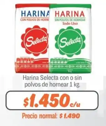 Mayorista 10 Harina Selecta con o sin polvos de hornear 1 kg. oferta