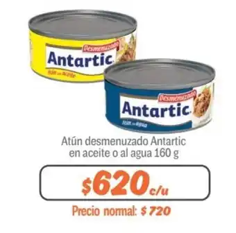 Mayorista 10 Atún desmenuzado Antartic en aceite o al agua 160 g oferta