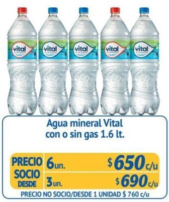 Alvi Agua mineral Vital con o sin gas 6un x 1.6 lt. oferta