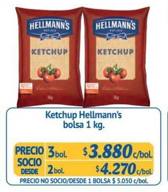 Alvi Ketchup Hellmann's bolsa 1 kg. x 3 bol. oferta