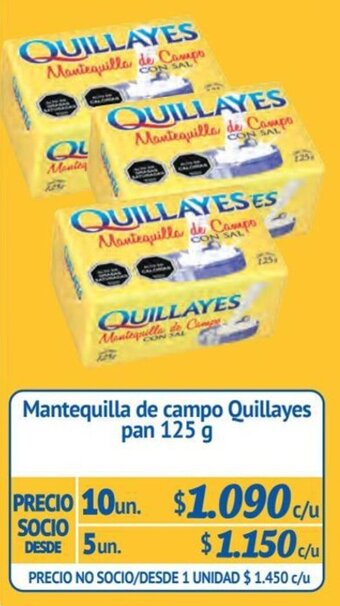 Alvi Mantequilla de campo Quillayes pan 125 g x 10 un. oferta