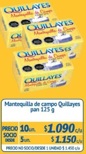 Alvi Mantequilla de campo Quillayes pan 125g x 10un oferta