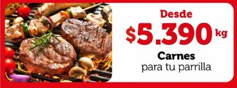 Santa Isabel Carnes para tu parrilla kg oferta