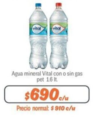 Mayorista 10 Agua mineral Vital con o sin gas pet 1.6 It. oferta