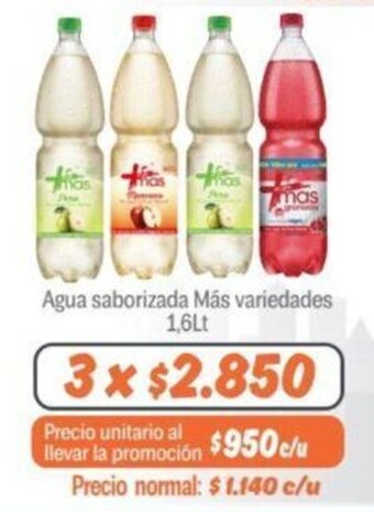 Mayorista 10 Agua saborizada Más variedades 1,6lt x 3 oferta