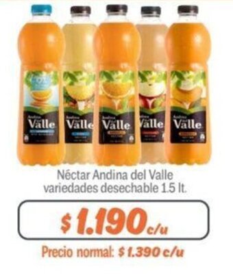 Mayorista 10 Néctar Andina del Valle variedades desechable 1.5 lt. oferta
