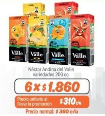Mayorista 10 Néctar Andina del Valle variedades 200 cc. x 6 oferta