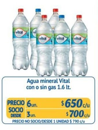 Alvi Agua mineral Vital con o sin gas 1.6 lt. x 6un. oferta
