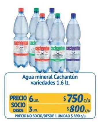 Alvi Agua mineral Cachantún variedades 1.6 lt. x 6un. oferta