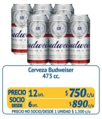 Alvi Cerveza Budweiser 473 cc. x 12 un. oferta