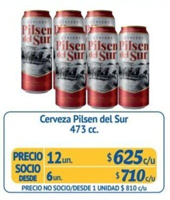 Alvi Cerveza Pilsen del Sur 473 cc. x 12 un. oferta