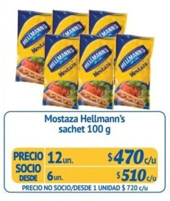 Alvi Mostaza Hellmann's sachet 100 g x 12 un. oferta