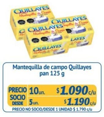 Alvi Mantequilla de campo Quillayes pan 125 g x 10 un. oferta