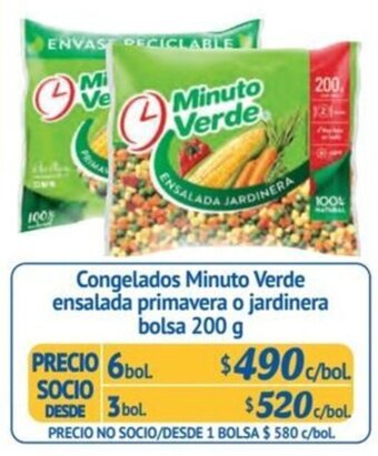 Alvi Congelados Minuto Verde ensalada primavera o jardinera bolsa 200 g x 6 bol. oferta