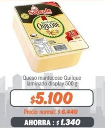 Mayorista 10 Queso mantecoso Quilque laminado display 500 g oferta