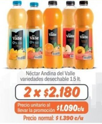 Mayorista 10 Néctar Andina del Valle variedades desechable 1.5 lt. x 2 oferta