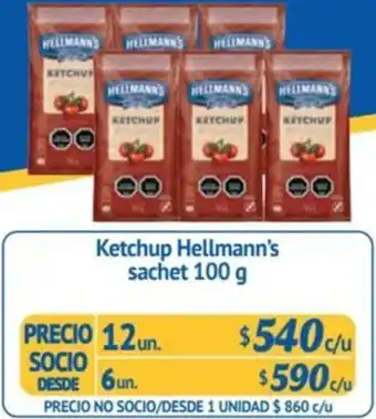 Alvi Ketchup Hellmann's sachet 100 g x 6un oferta