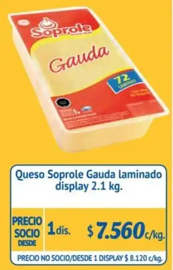 Alvi Queso Soprole Gauda laminado display 2.1 kg x 1dis oferta