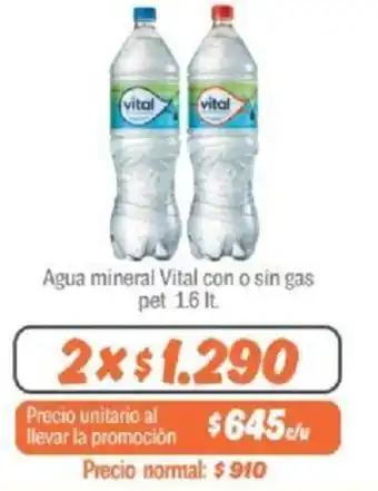 Mayorista 10 Agua mineral Vital con o sin gas pet 1.6 lt. x 2 oferta